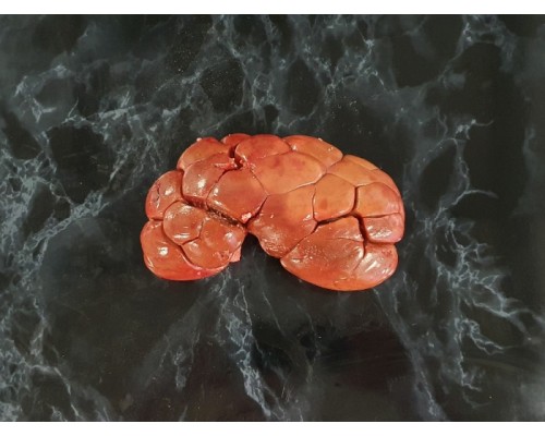 Orkney Scotch Ox kidney